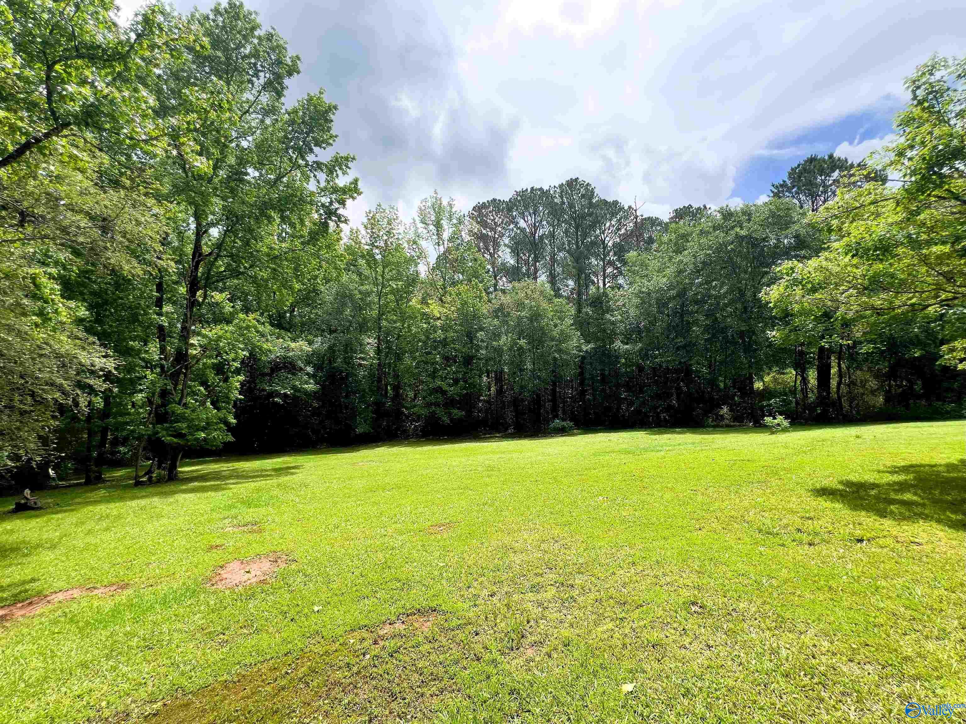 250 Foothill Road, Piedmont, Alabama image 21