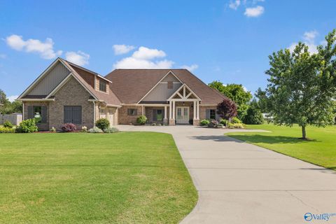 Photo of 260 County Road 470, Trinity, AL 35673 (MLS # 21919441)