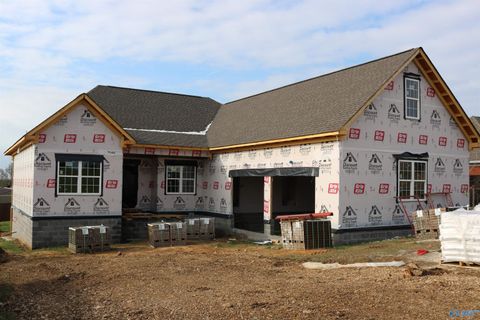 Homes For Sale - 92 Payton Lane<br/> Grant, AL 35747