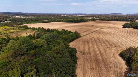 Vacant Land For Sale - 105 Vaughn Road<br/> Laceys Spring, AL 35754