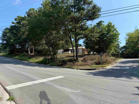 Vacant Land For Sale - LOT 34 Rayburn Avenue<br/> Guntersville, AL 35976