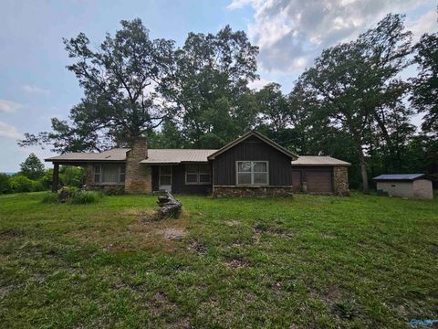 Vacant Land For Sale - 1149 County Road 865<br/> Collinsville, AL 35961