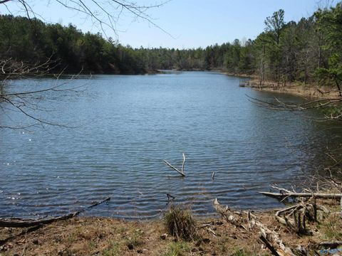 Vacant Land For Sale - 1876 County Road 684<br/> Flat Rock, AL 35966