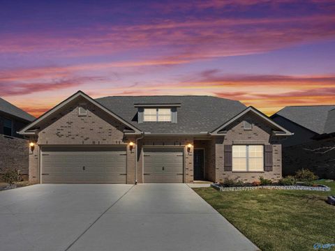 Photo of 109 Rose Valley Drive, New Market, AL 35761 (MLS # 21912587)