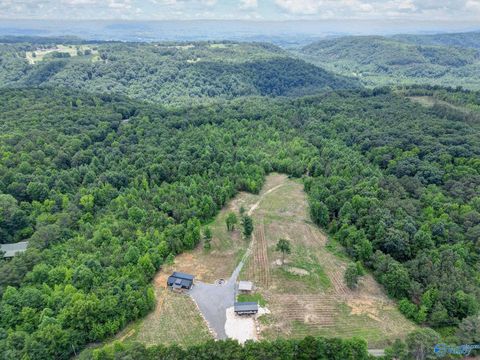Homes For Sale - 1129 Sloan Drive<br/> Blountsville, AL 35031