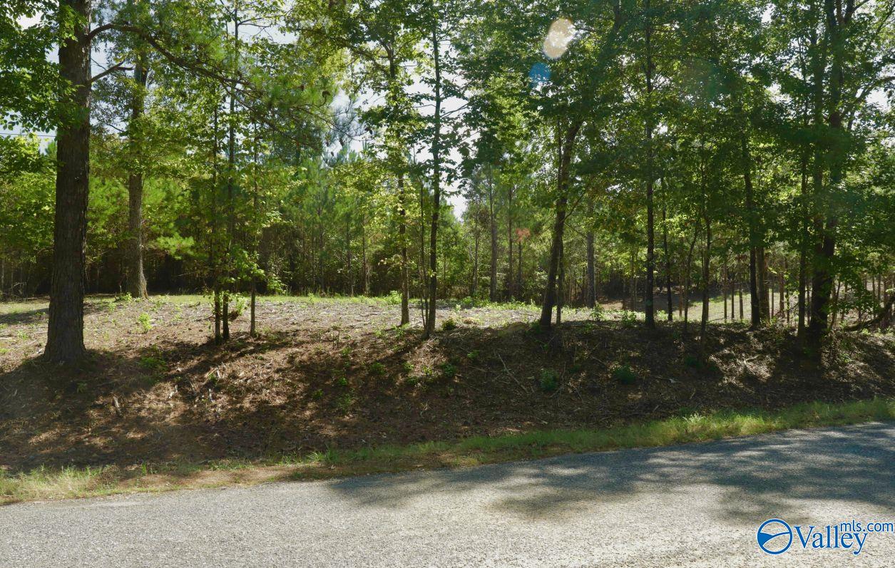 160 Acres Concord Church Road, Talladega, Alabama image 22