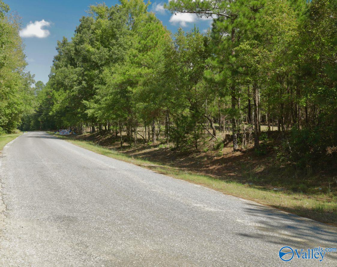 160 Acres Concord Church Road, Talladega, Alabama image 26