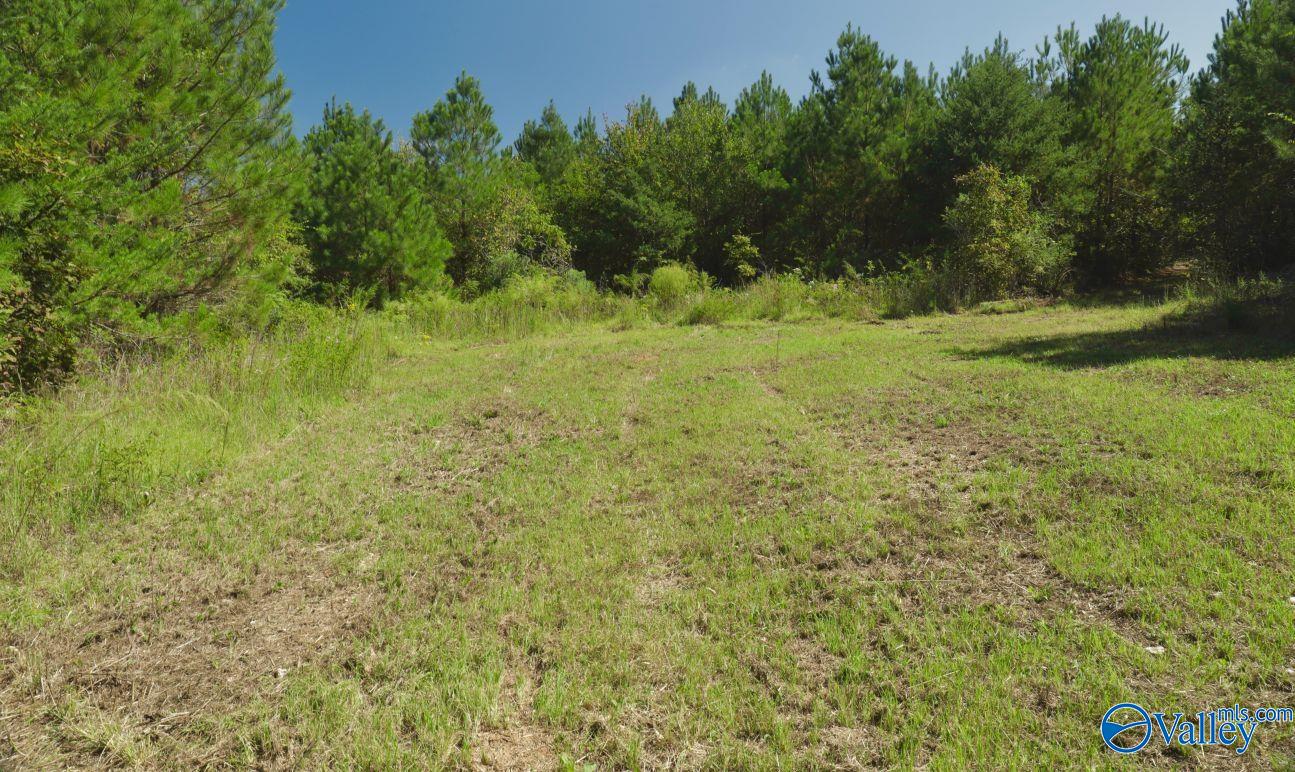 160 Acres Concord Church Road, Talladega, Alabama image 12