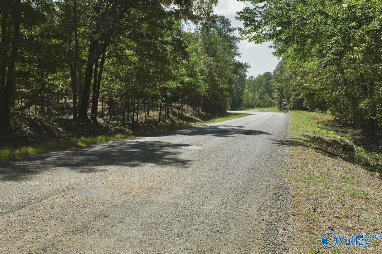 160 Acres Concord Church Road, Talladega, Alabama image 21