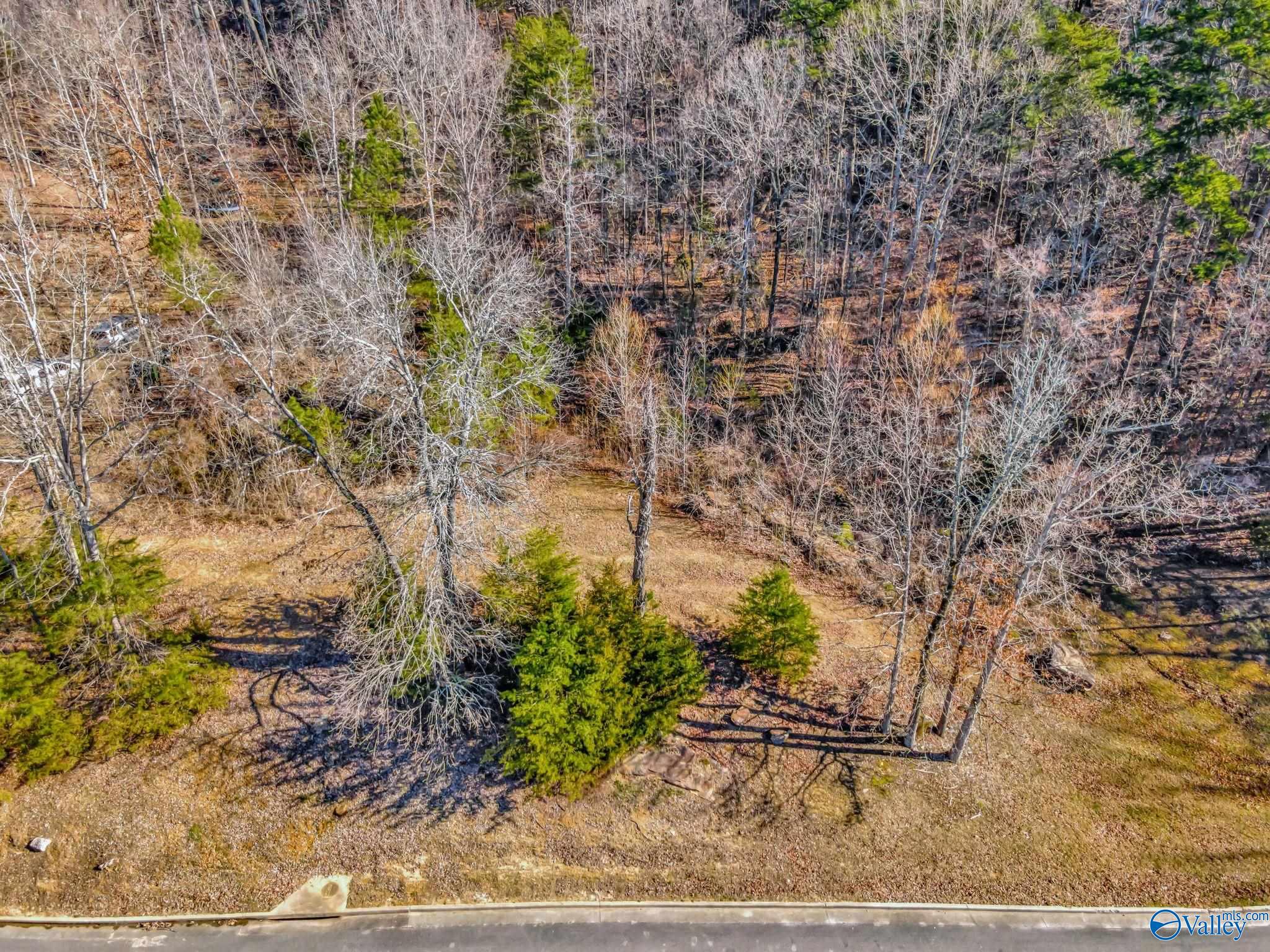 1618 Lake Cove Drive, Decatur, Alabama image 2