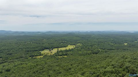 Vacant Land For Sale - 405 County Road 865<br/> Gaylesville, AL 35973