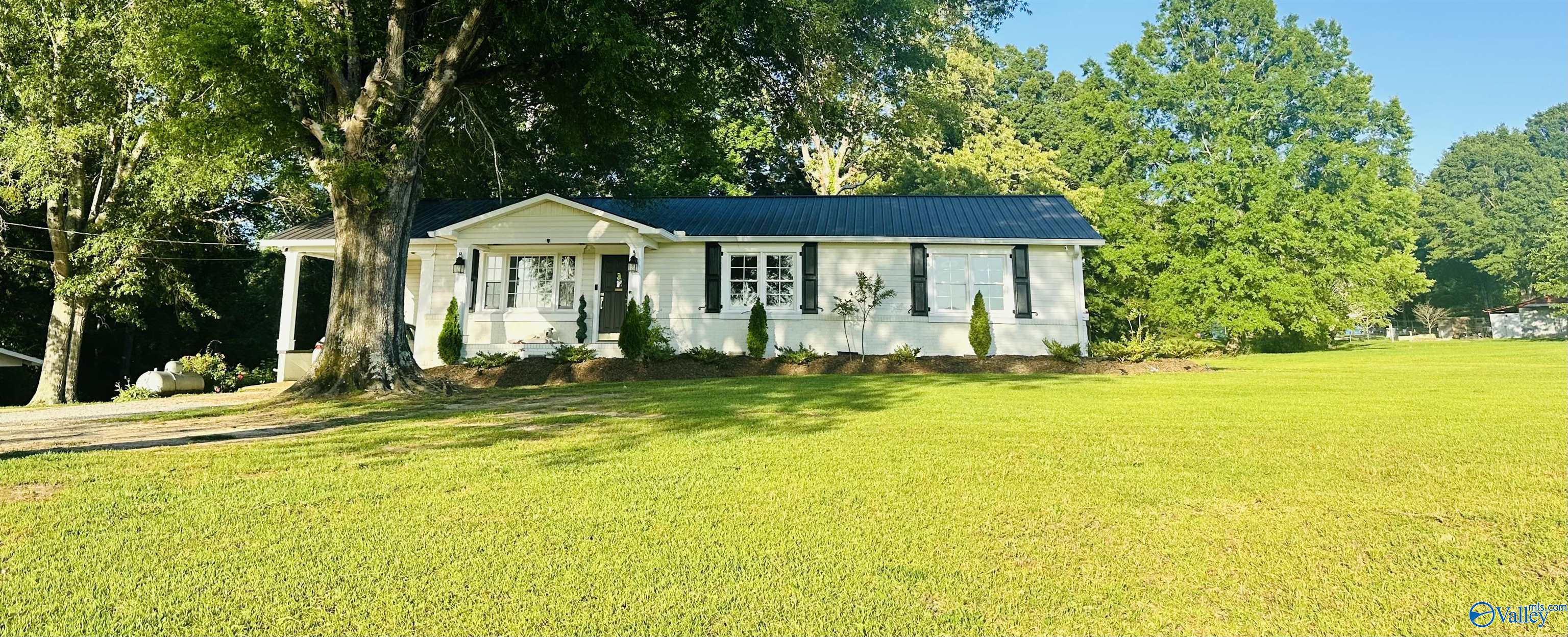 2010 Youngs Chapel Road, Piedmont, Alabama image 2