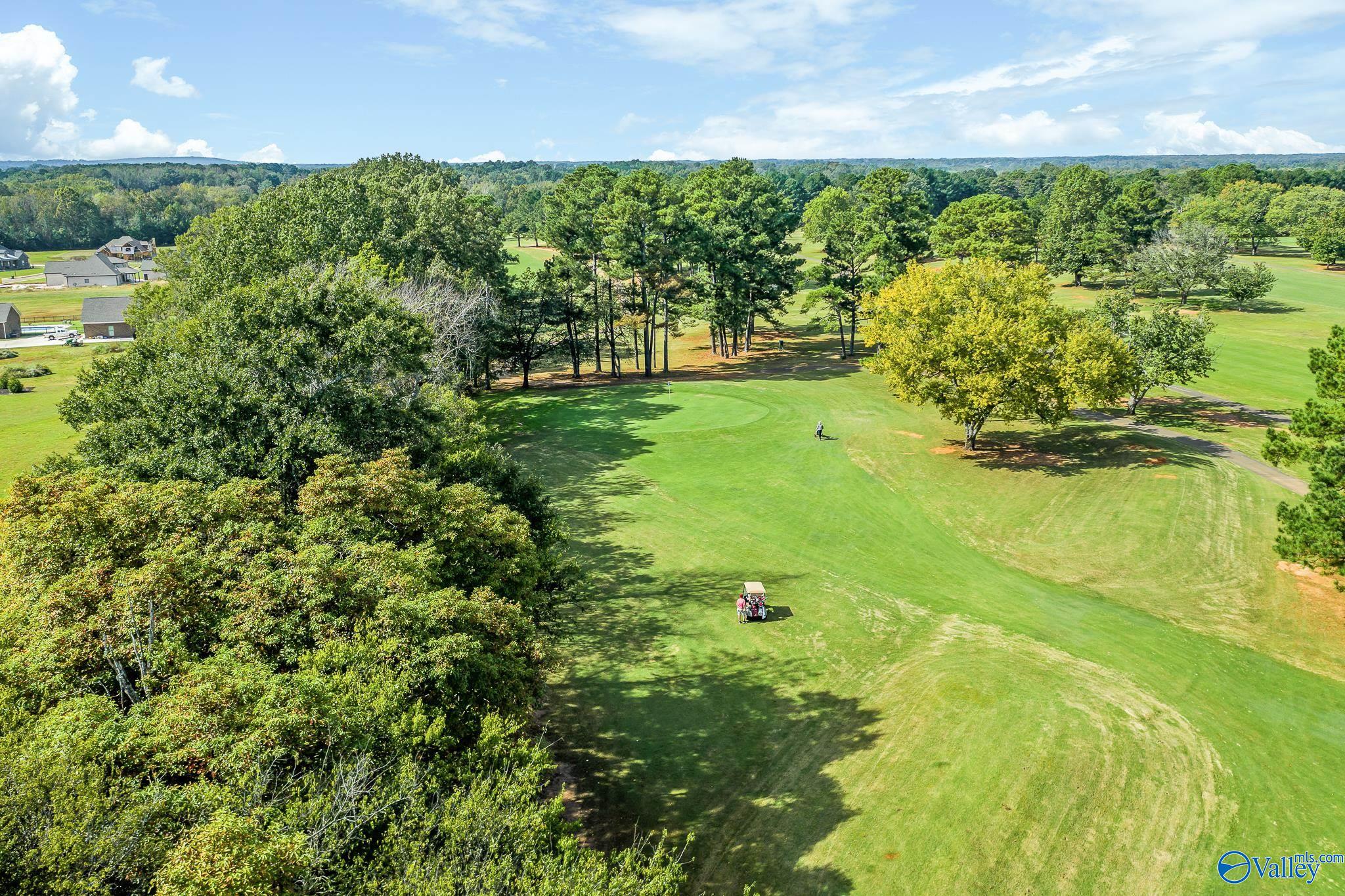 106 Speck Circle, Meridianville, Alabama image 47