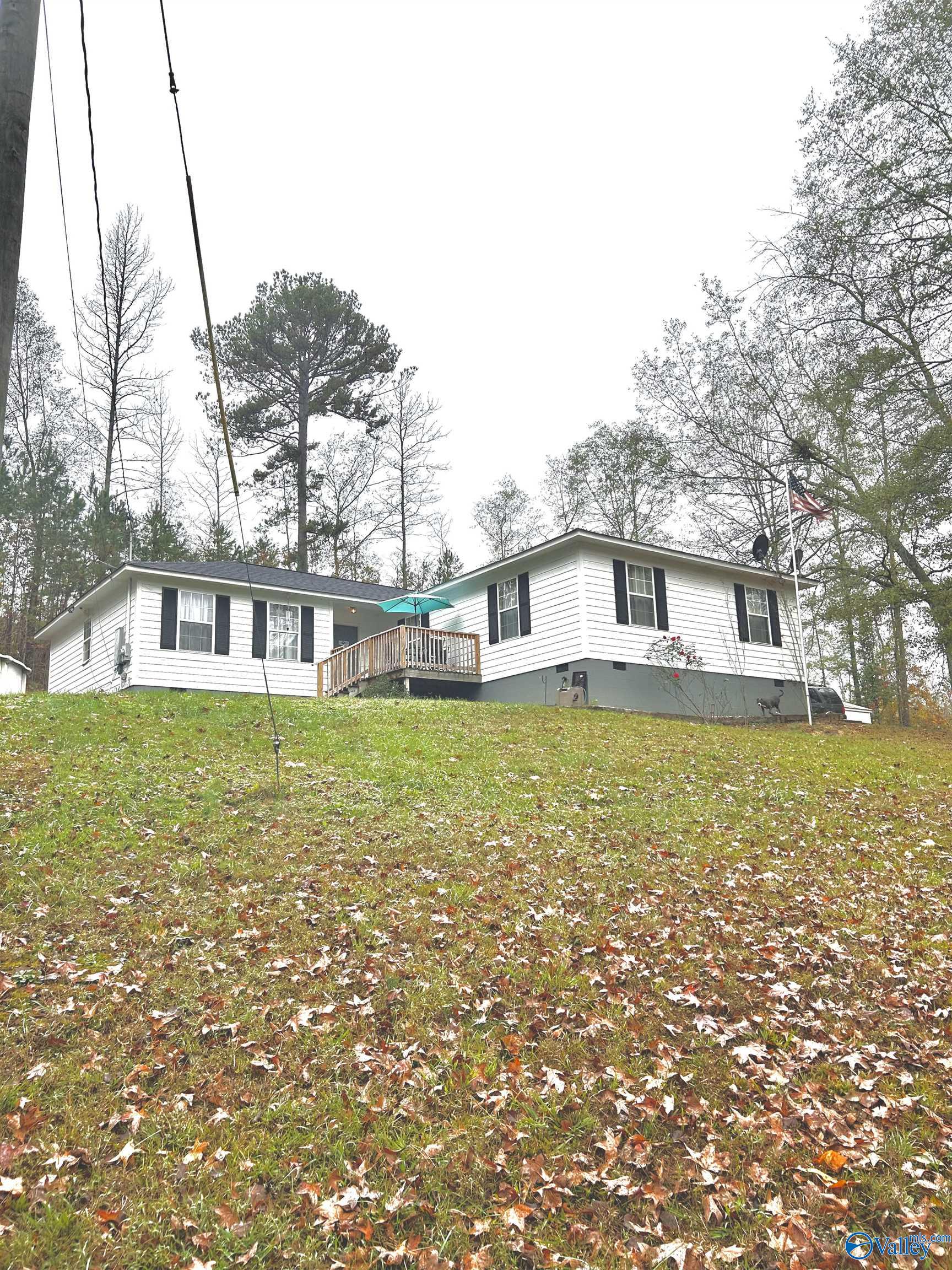 267 Rickles Road, Attalla, Alabama image 2