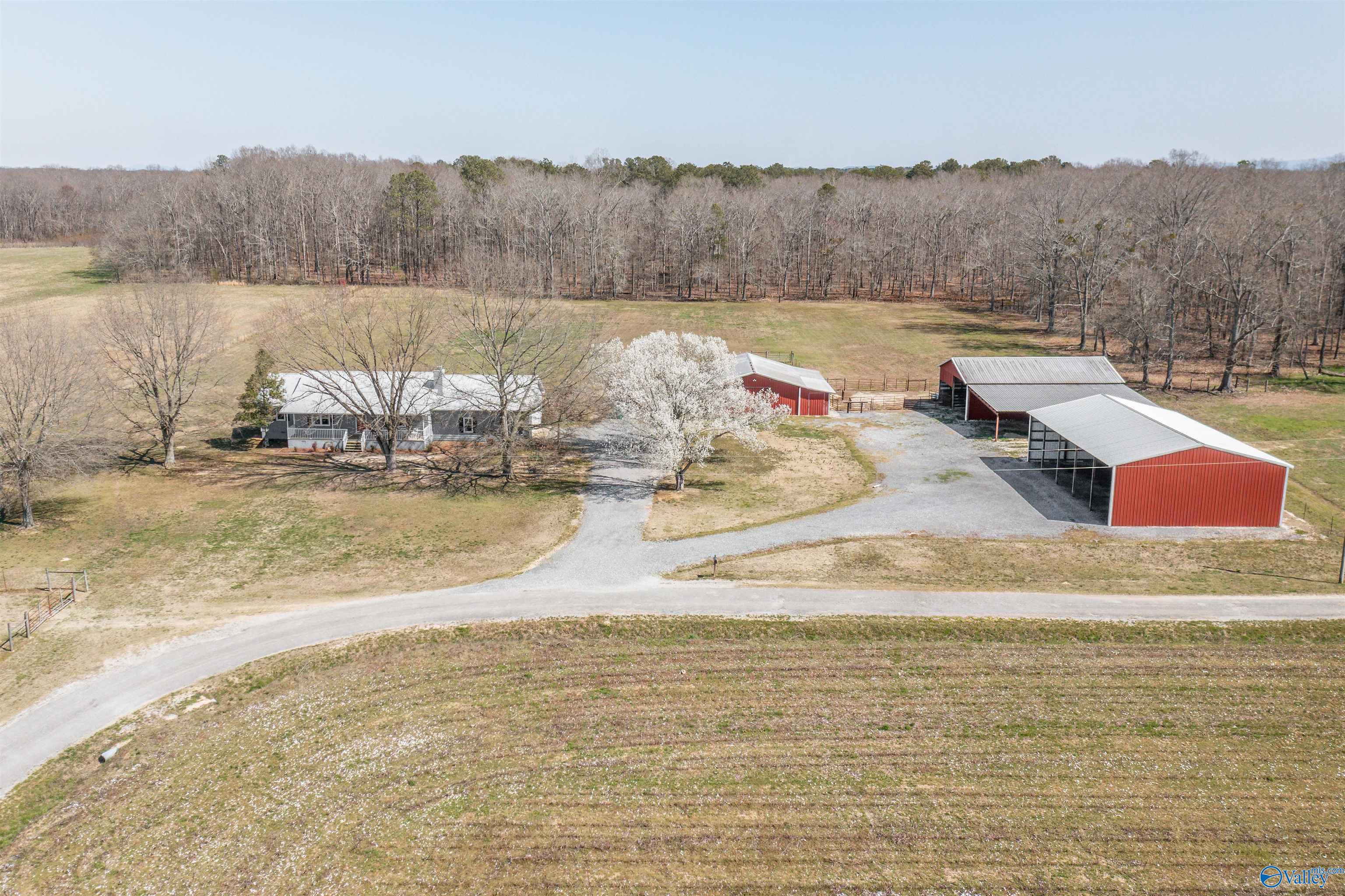 245 County Road 436, Centre, Alabama image 2