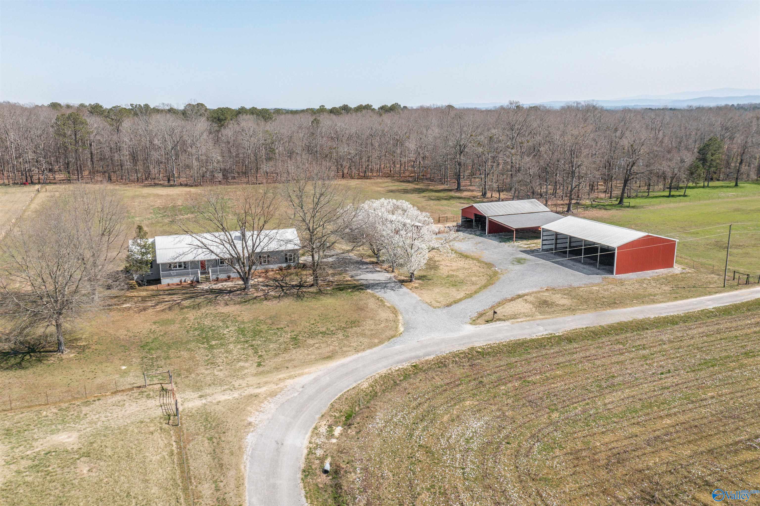 245 County Road 436, Centre, Alabama image 1