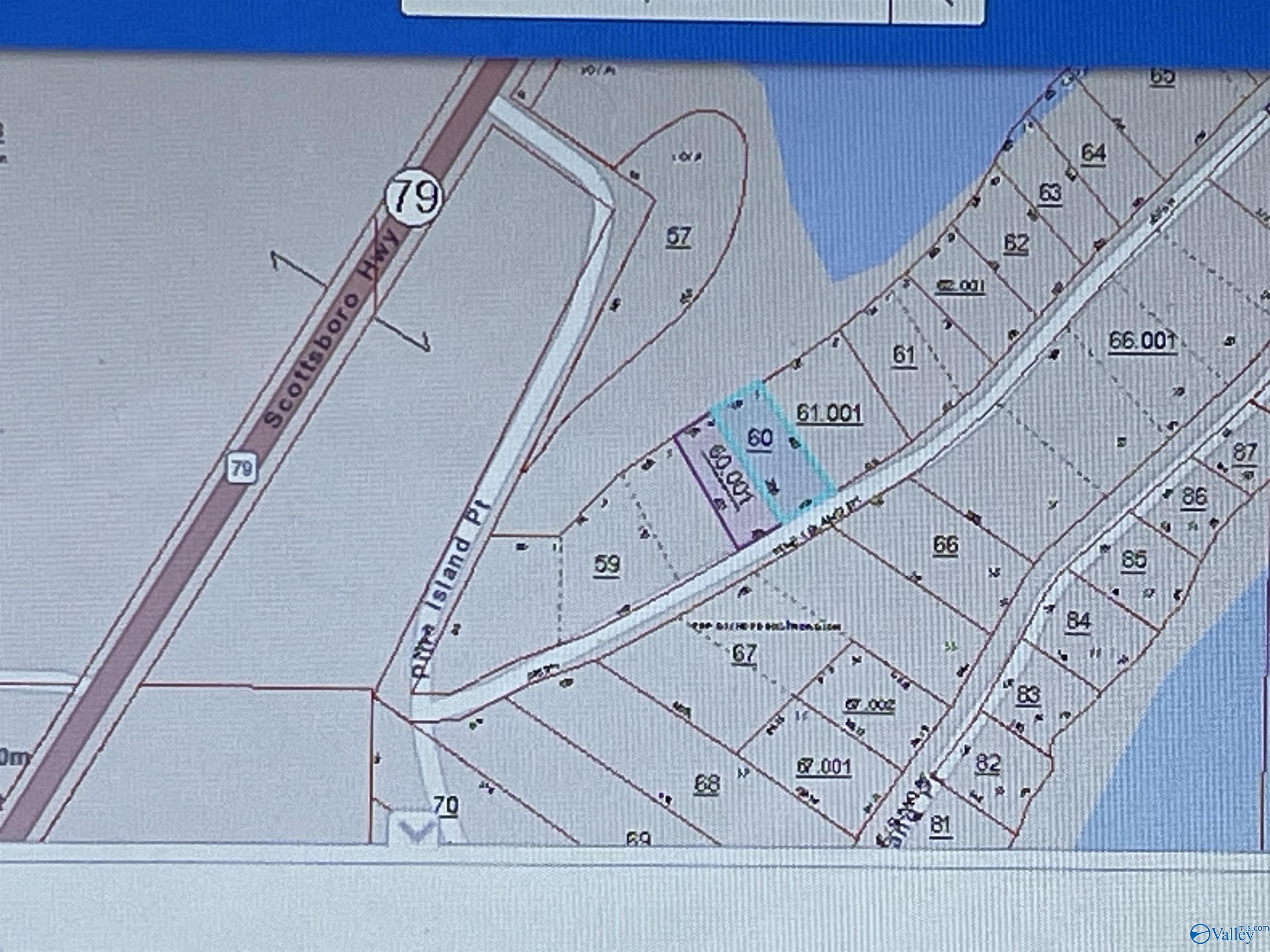 LOT 4 & LOT 5 Pine Island Point, Scottsboro, Alabama image 5