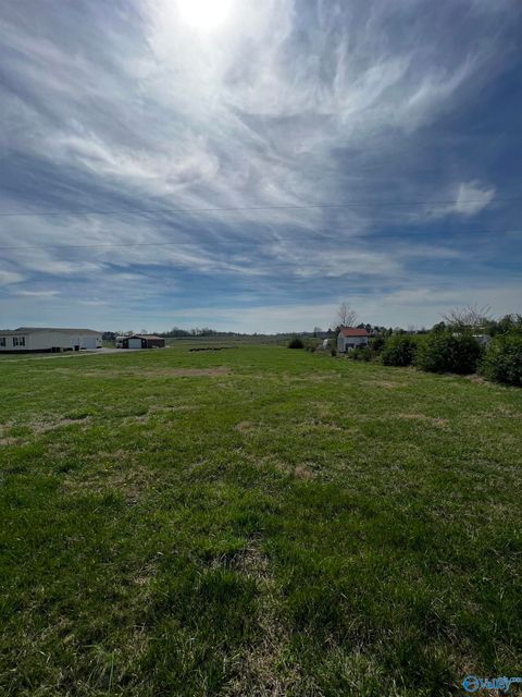 Vacant Land For Sale - TRACT 1&2 County Road 530<br/> Lauderdale County, Rogersville, AL 35652