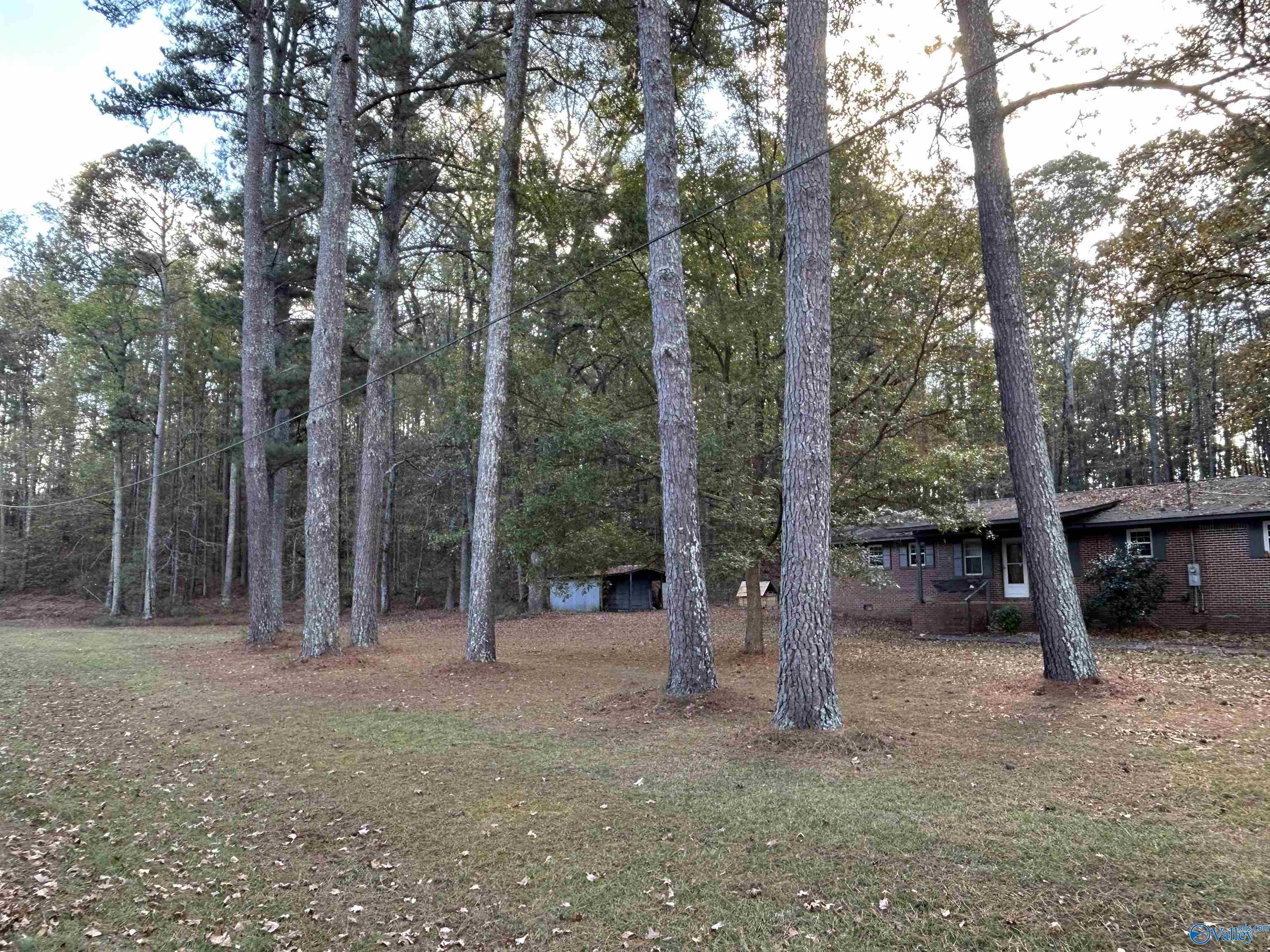 5096 Jenkins Road, Hokes Bluff, Alabama image 22