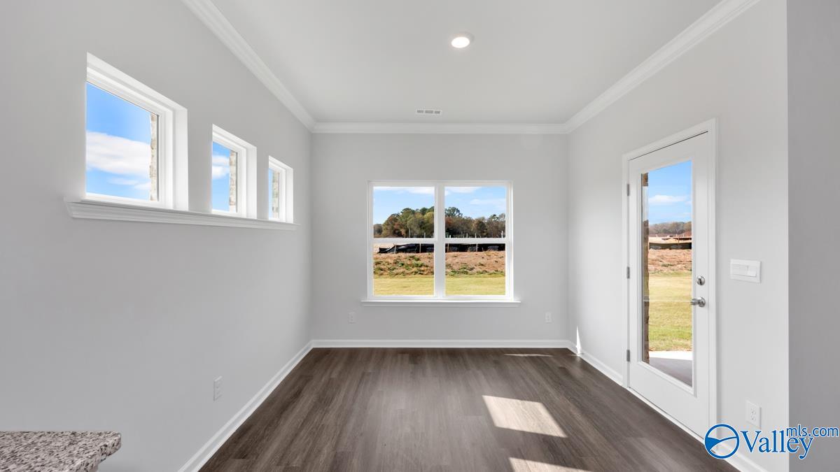 7105 SE Kalli Ilyssa Circle, Gurley, Alabama image 13