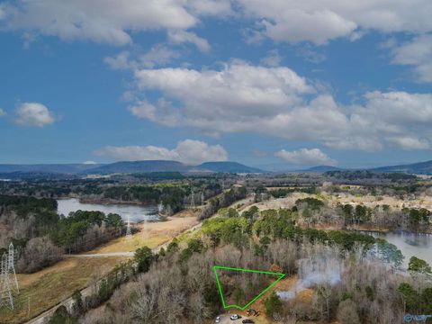 Vacant Land For Sale - LOT 11 Pruett Circle<br/> Jackson County, Scottsboro, AL 35769