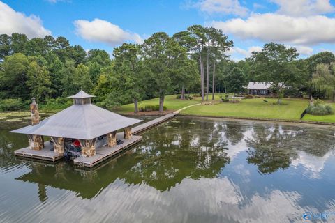 3424 Creek Path Road Guntersville AL 35976