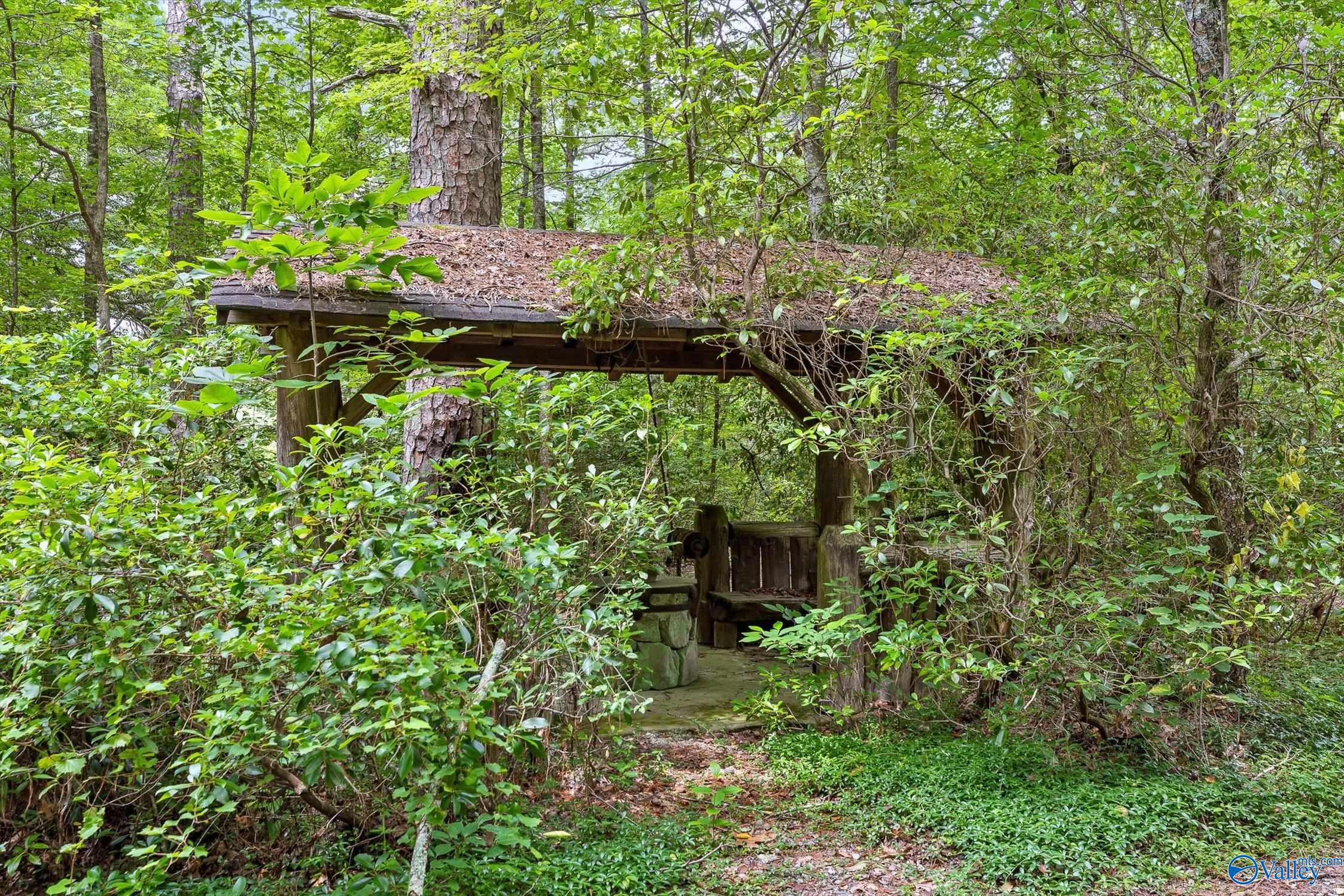 Lot #1 Moon Lake Road, Mentone, Alabama image 49