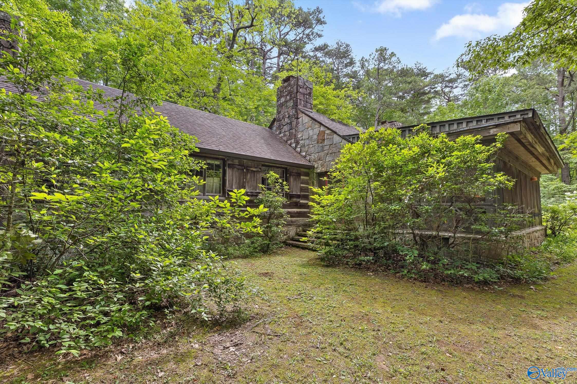 Lot #1 Moon Lake Road, Mentone, Alabama image 11