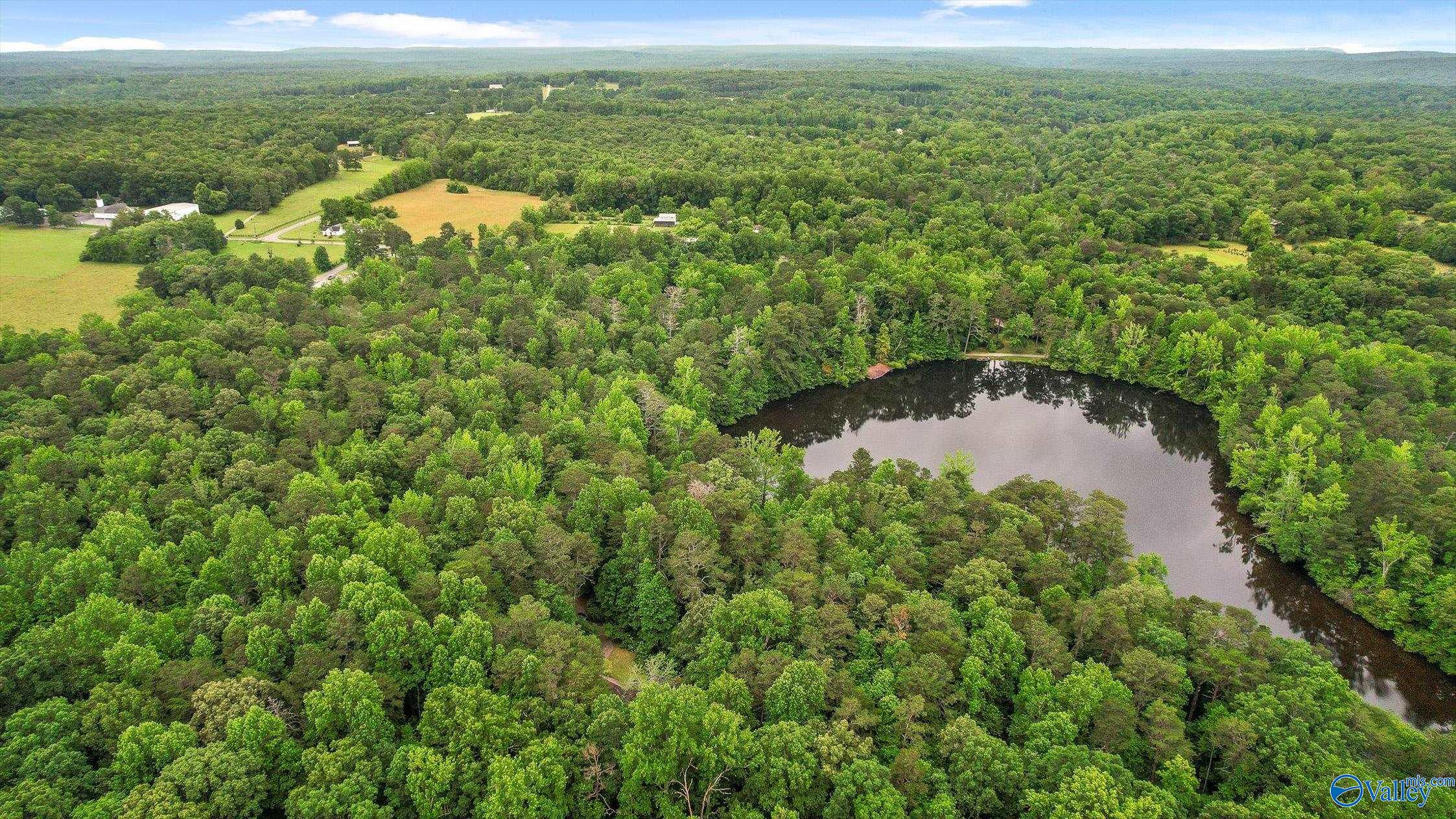 Lot #1 Moon Lake Road, Mentone, Alabama image 46