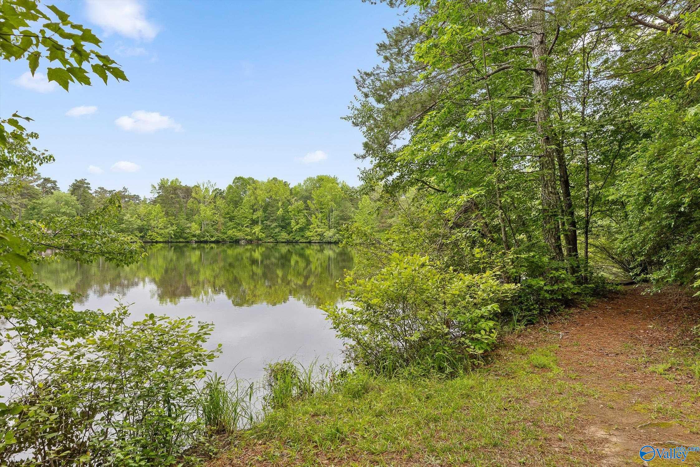 Lot #1 Moon Lake Road, Mentone, Alabama image 2