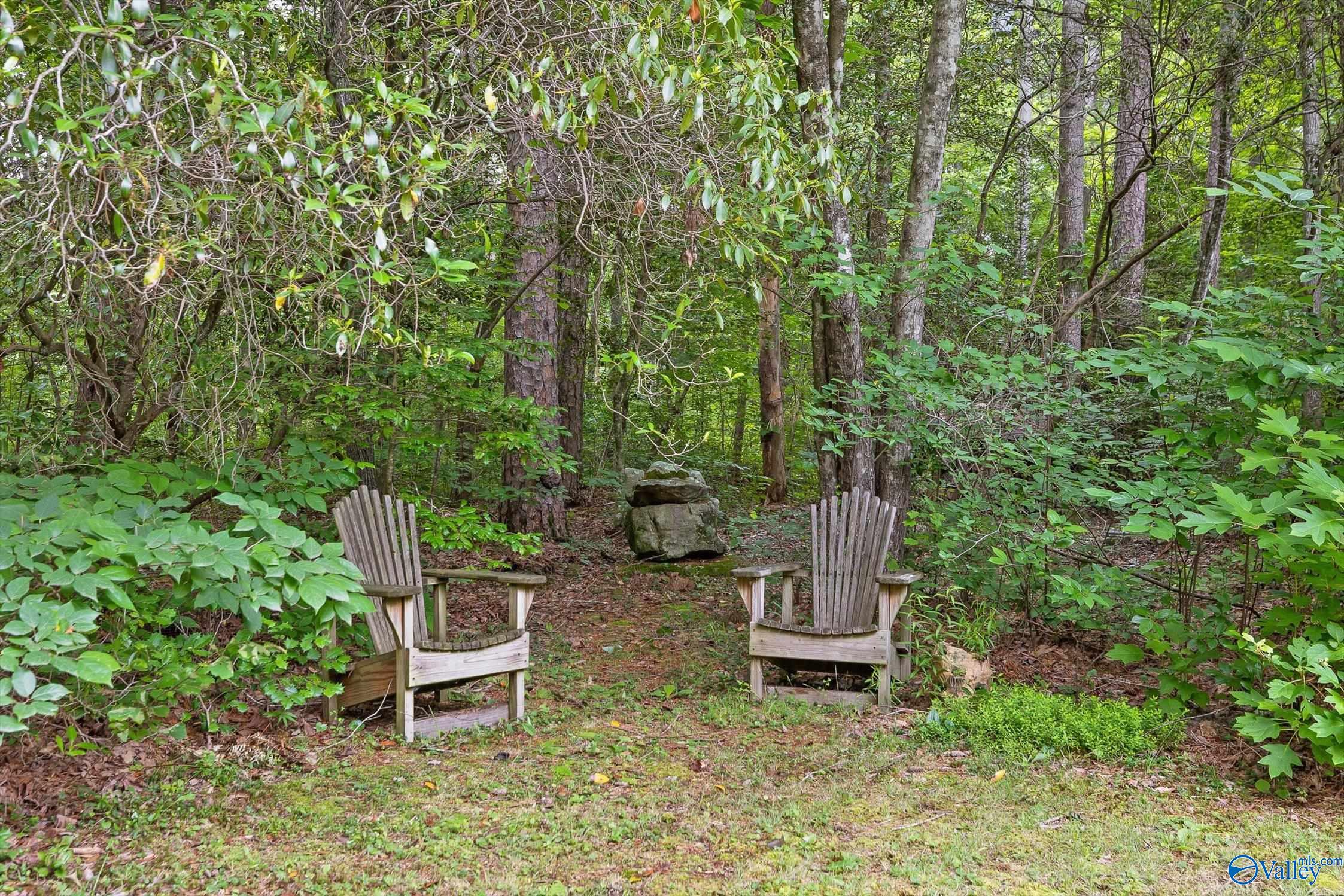 Lot #1 Moon Lake Road, Mentone, Alabama image 48