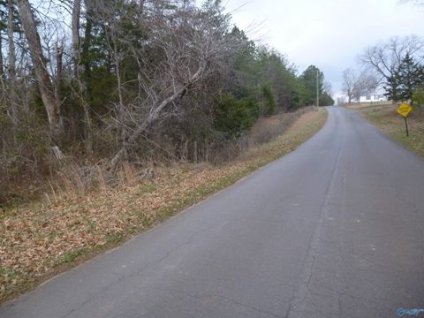 Vacant Land For Sale - 5900 Martin Avenue<br/> Fort Payne, AL 35967