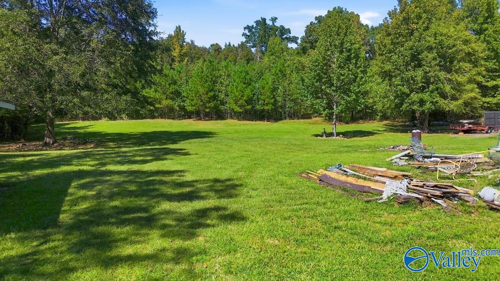4451 Bristow Cove Road, Boaz