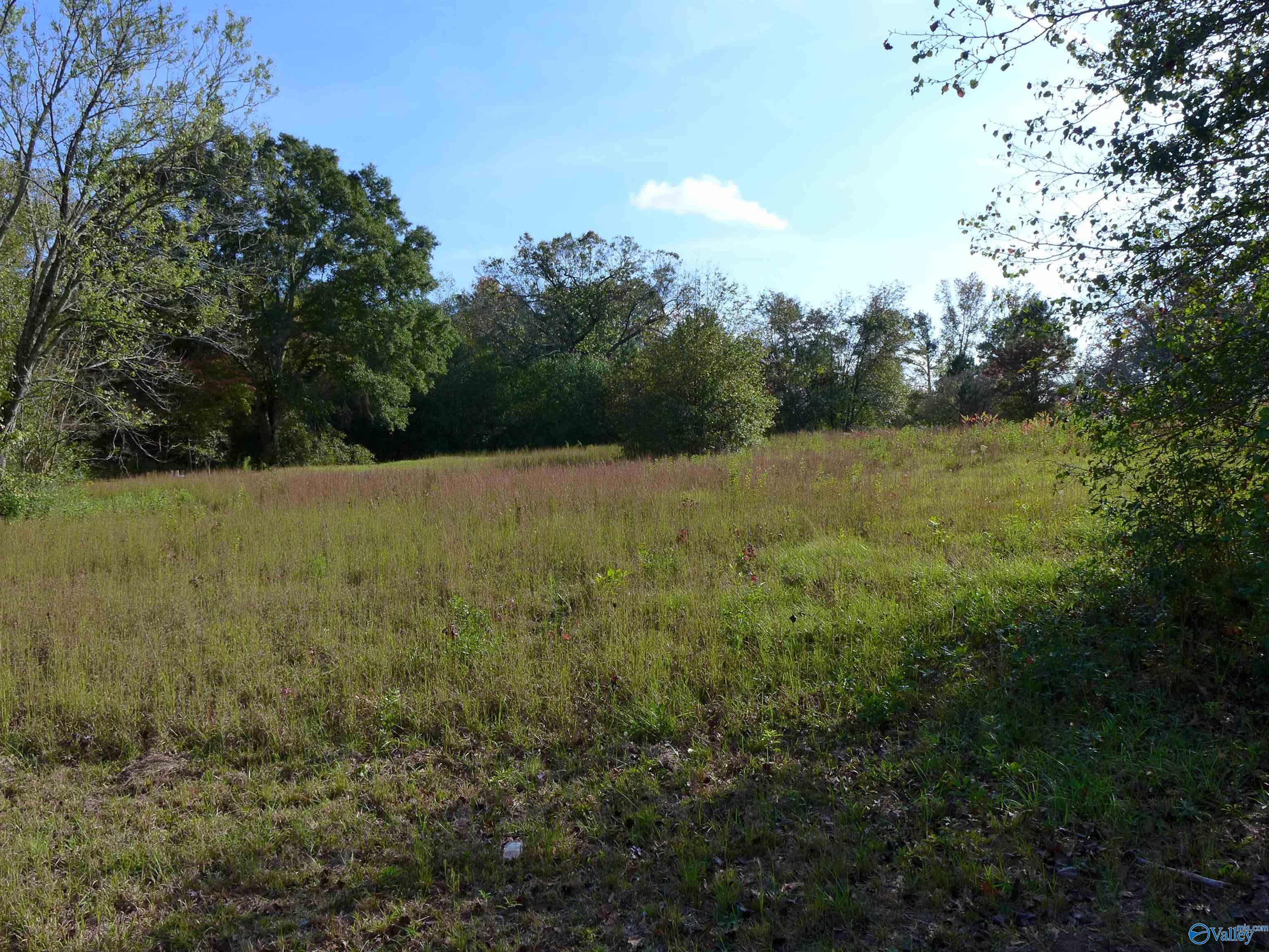 N Side Of Lot 2 2nd Avenue, Arab, Alabama image 1