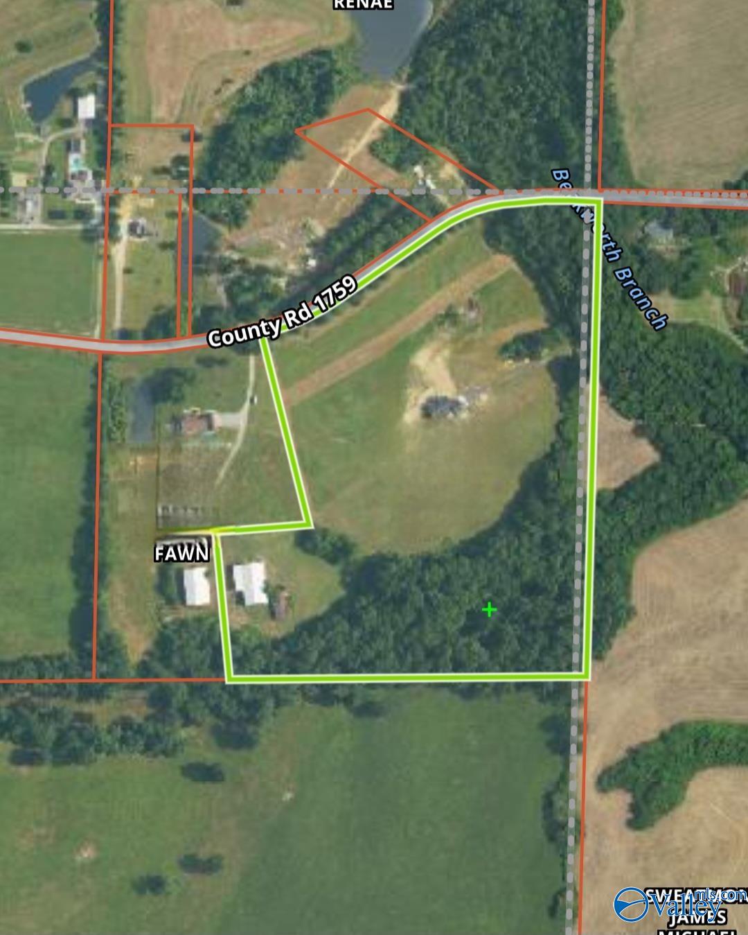 460 County Road 1759, Baileyton, Alabama image 2
