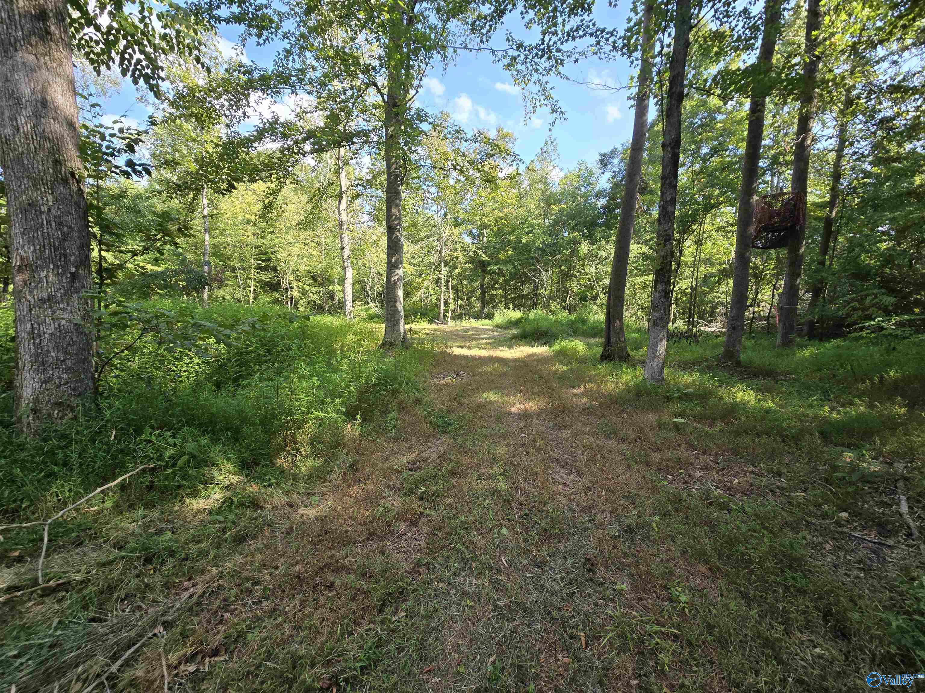 26 Acres Mulberry Road, Hazel Green, Alabama image 31