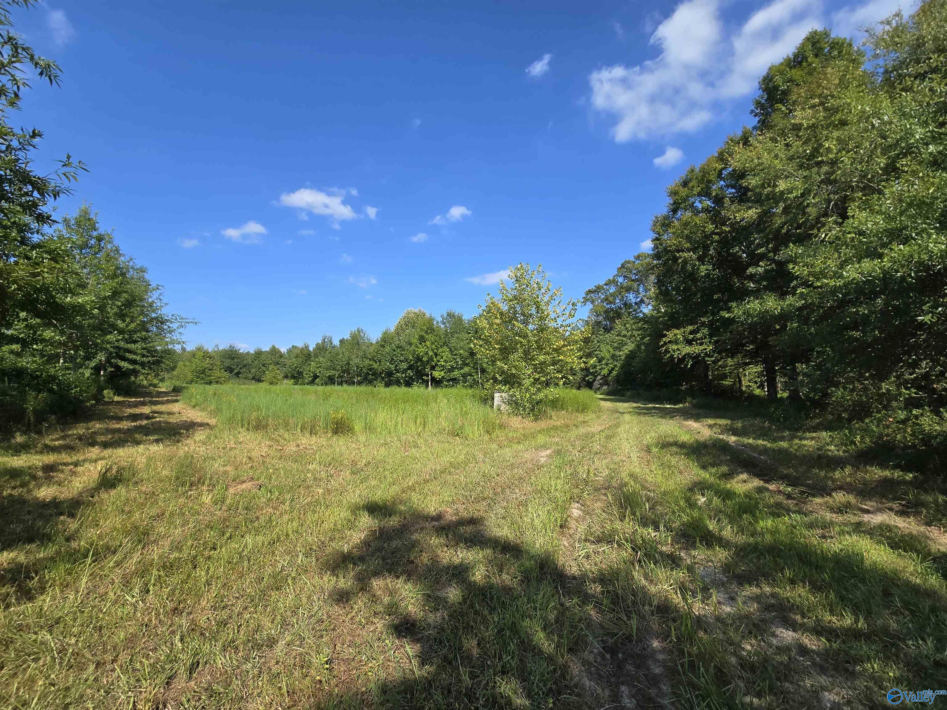 26 Acres Mulberry Road, Hazel Green, Alabama image 14