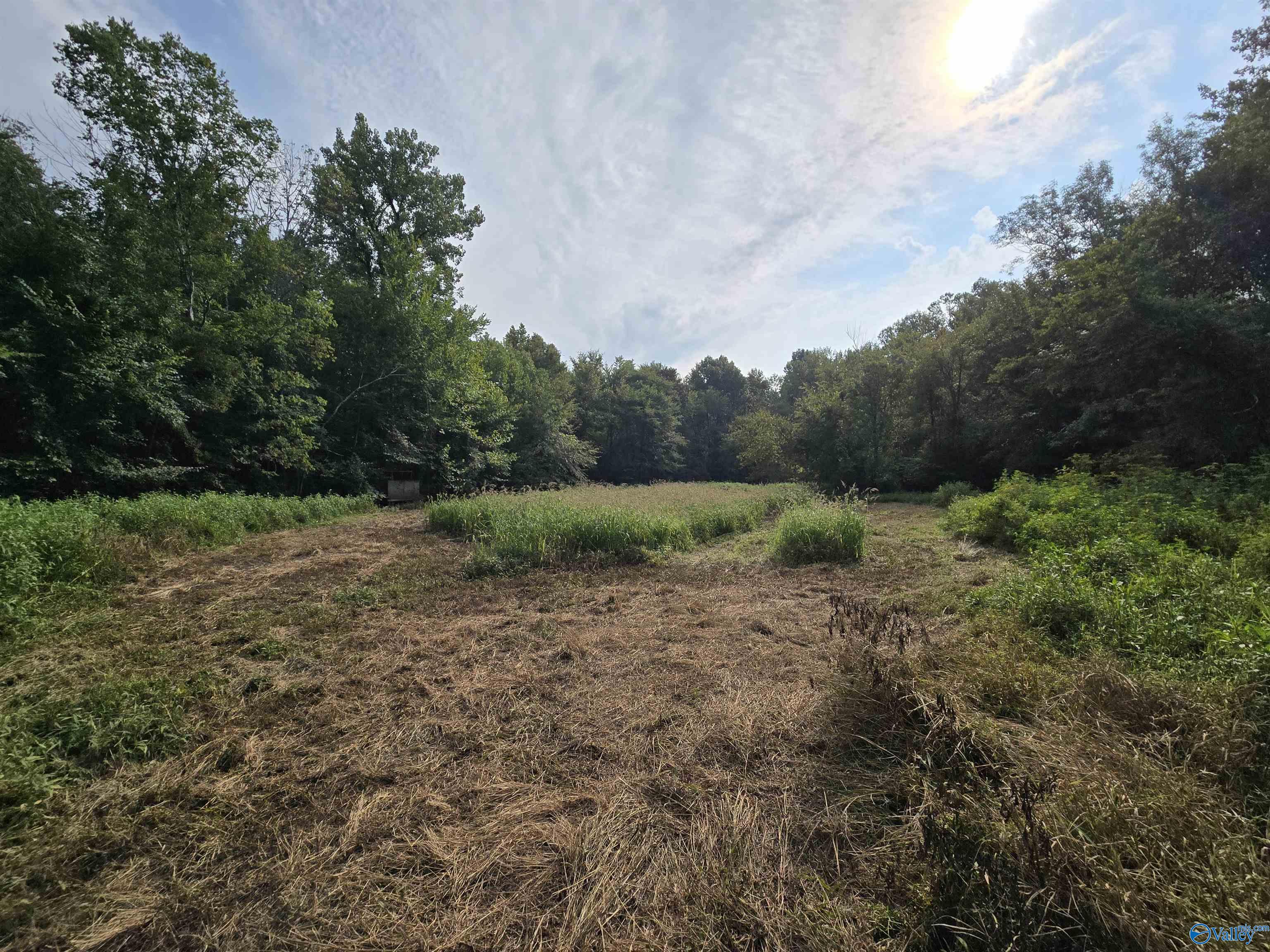 26 Acres Mulberry Road, Hazel Green, Alabama image 6