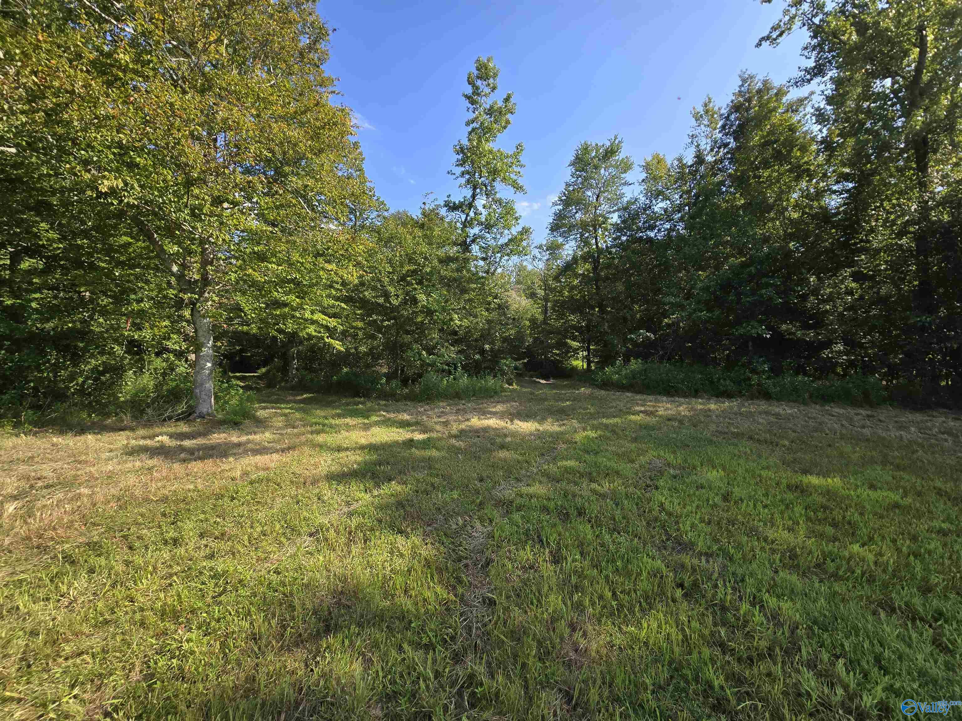 26 Acres Mulberry Road, Hazel Green, Alabama image 28