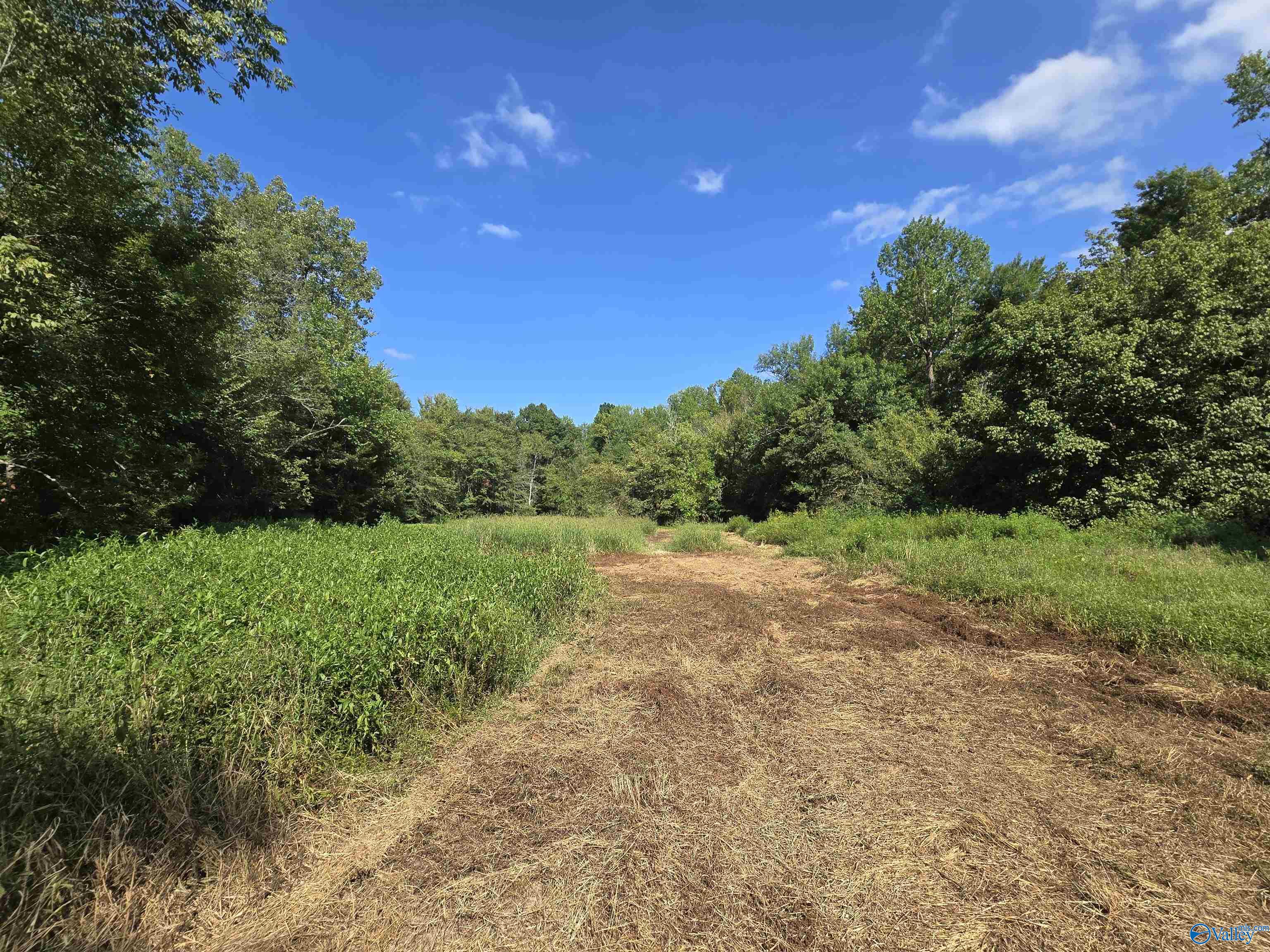 26 Acres Mulberry Road, Hazel Green, Alabama image 7