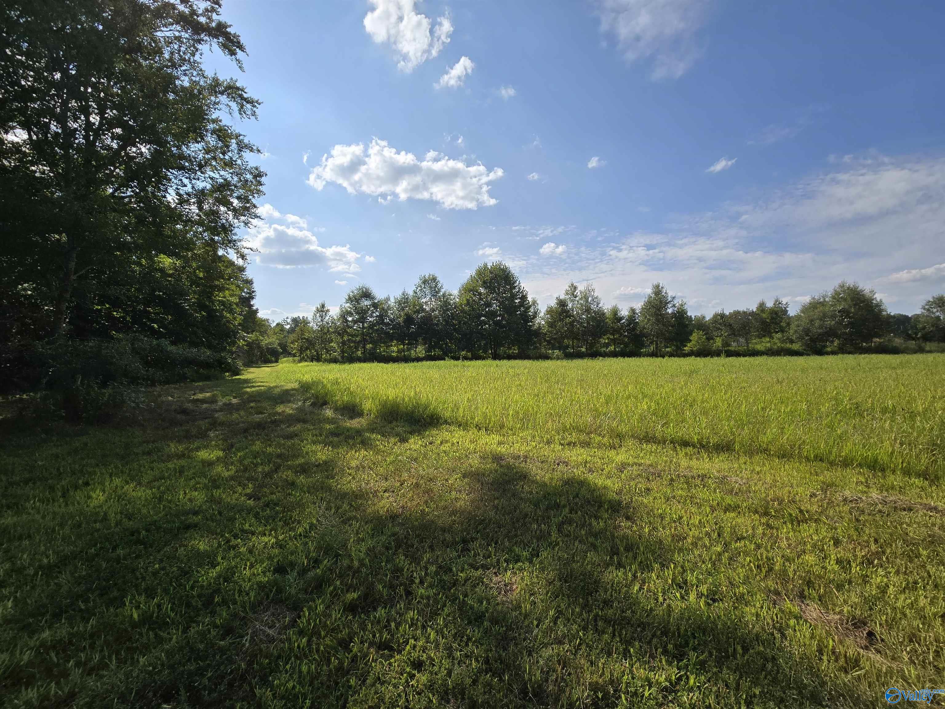 26 Acres Mulberry Road, Hazel Green, Alabama image 29