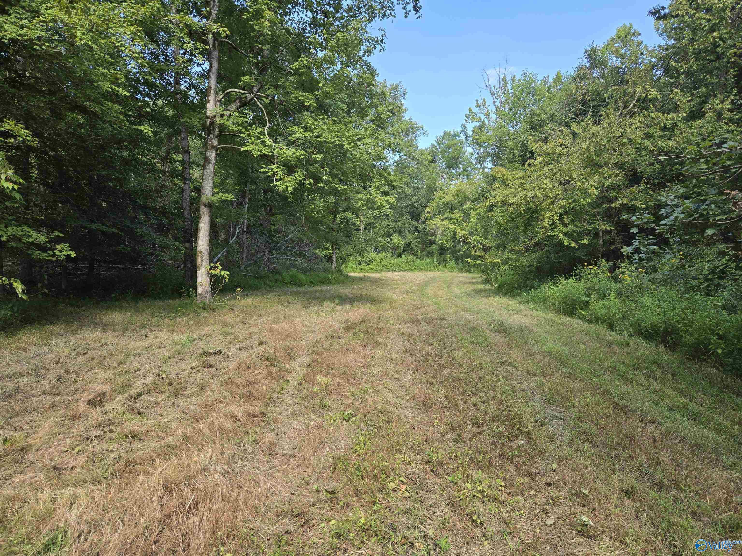 26 Acres Mulberry Road, Hazel Green, Alabama image 21