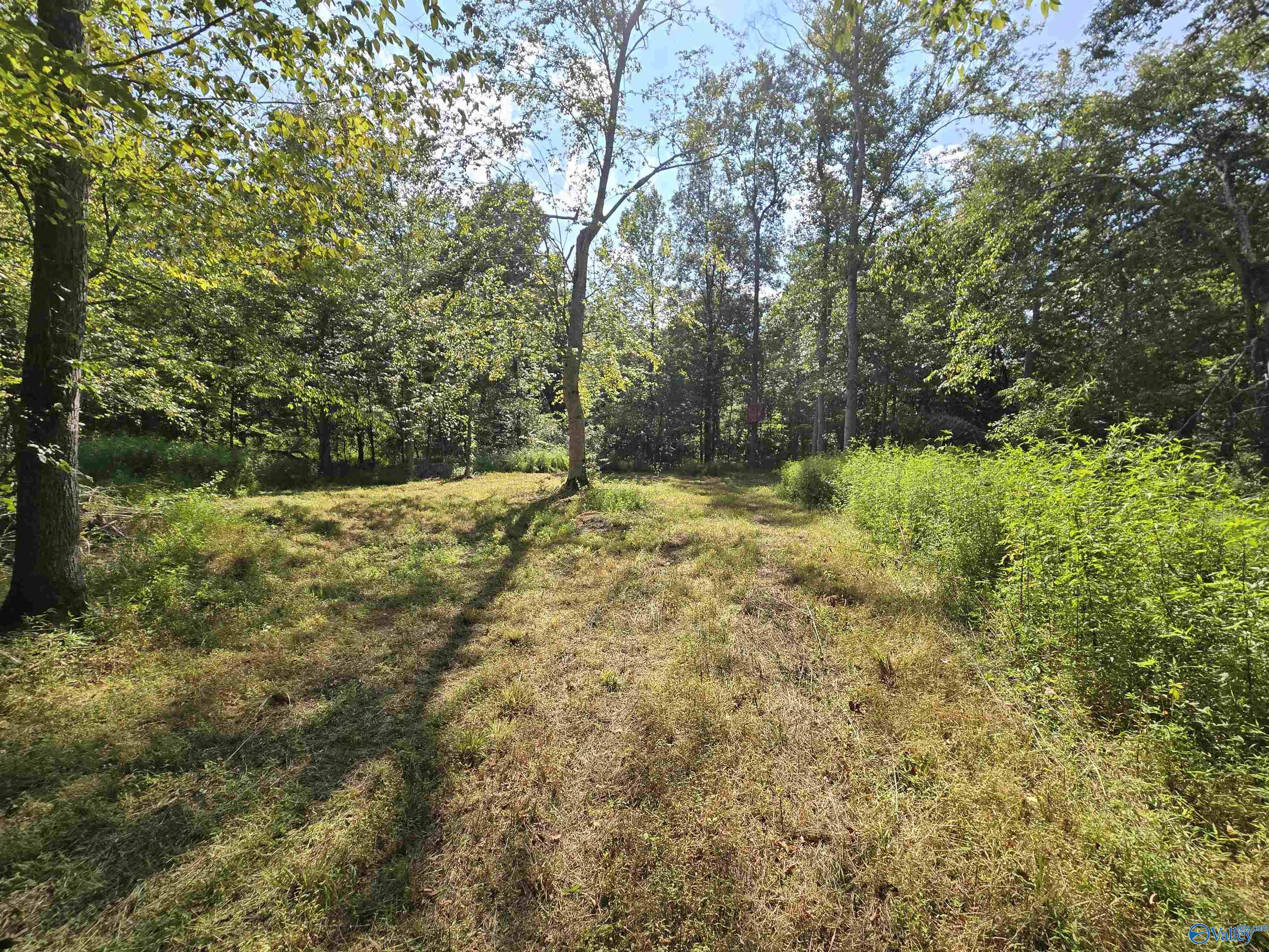 26 Acres Mulberry Road, Hazel Green, Alabama image 17