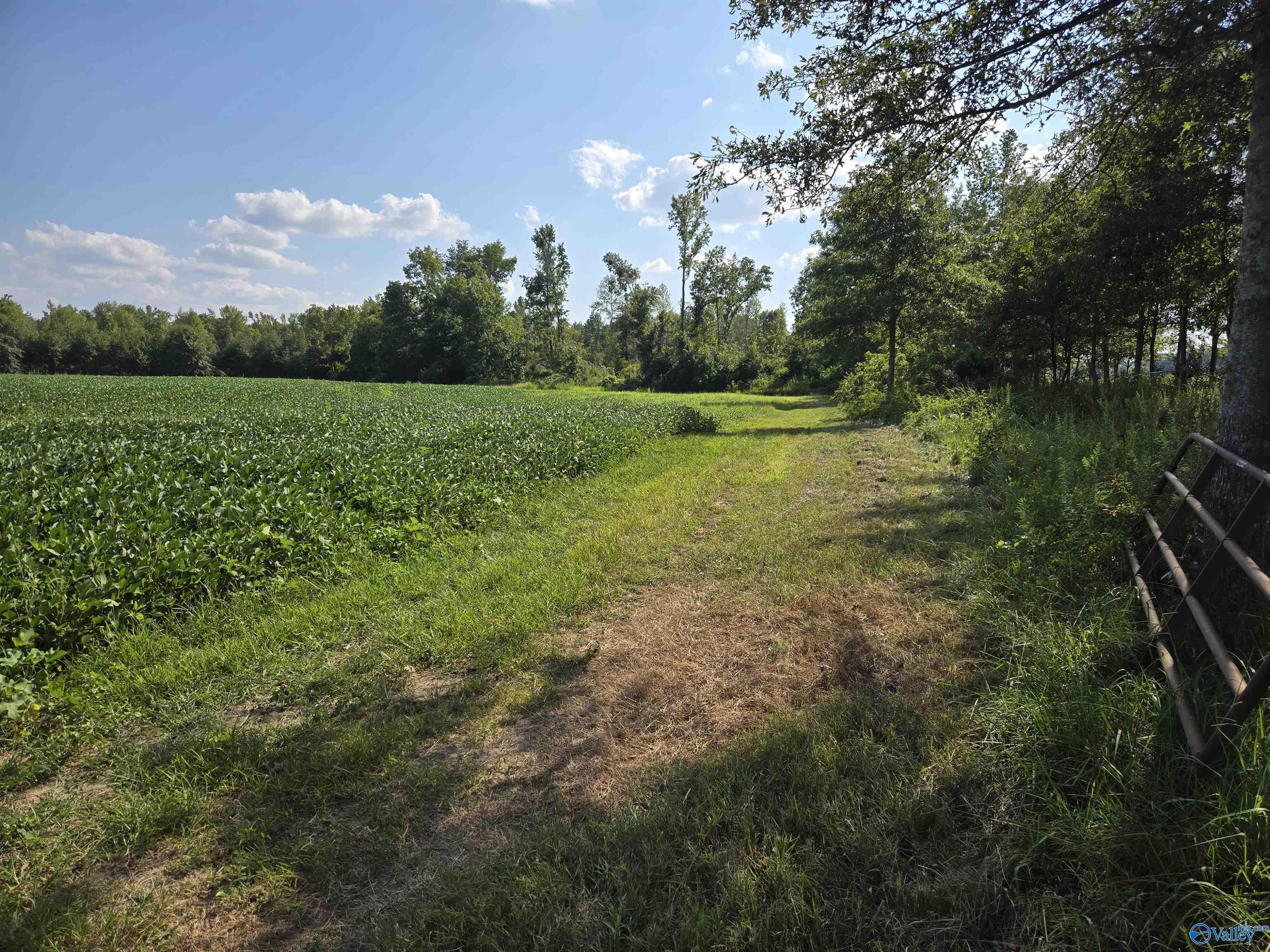 26 Acres Mulberry Road, Hazel Green, Alabama image 3