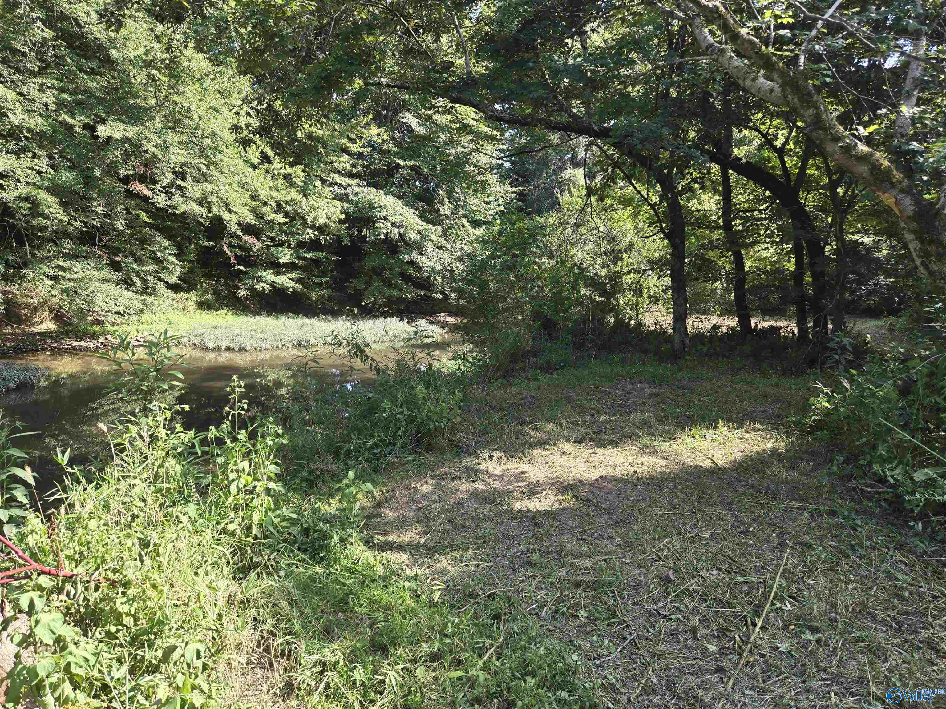 26 Acres Mulberry Road, Hazel Green, Alabama image 23