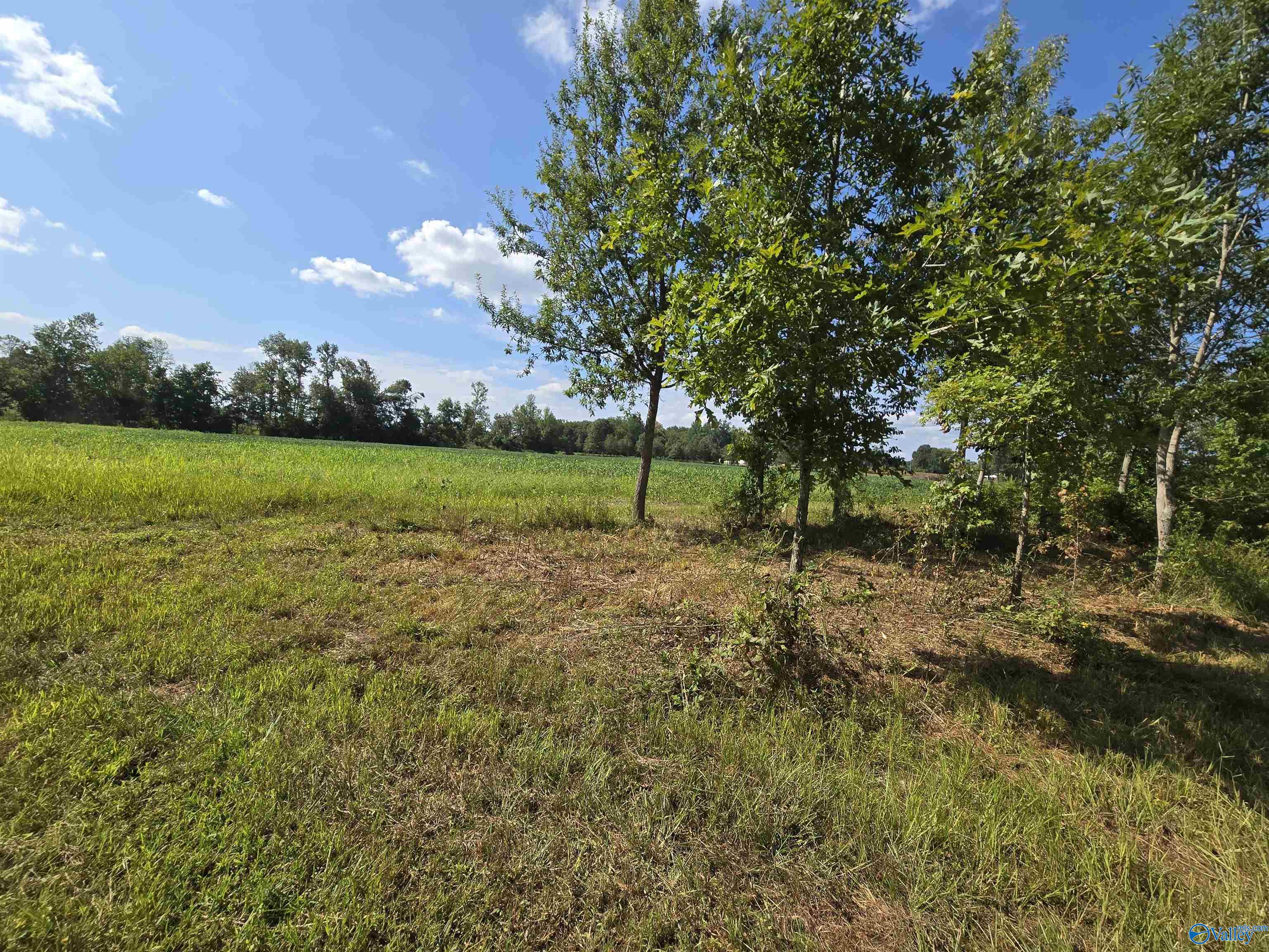 26 Acres Mulberry Road, Hazel Green, Alabama image 15