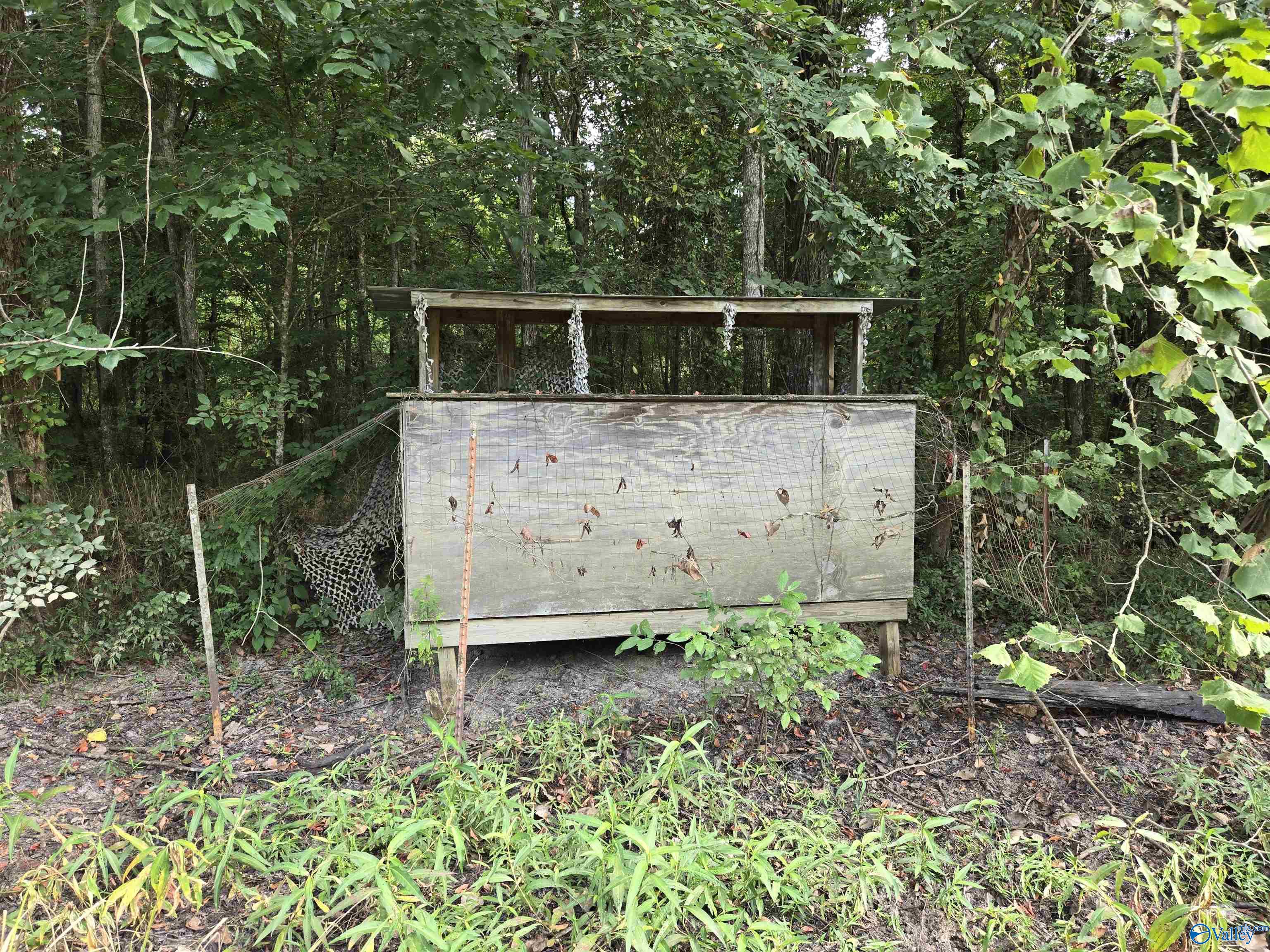 26 Acres Mulberry Road, Hazel Green, Alabama image 8