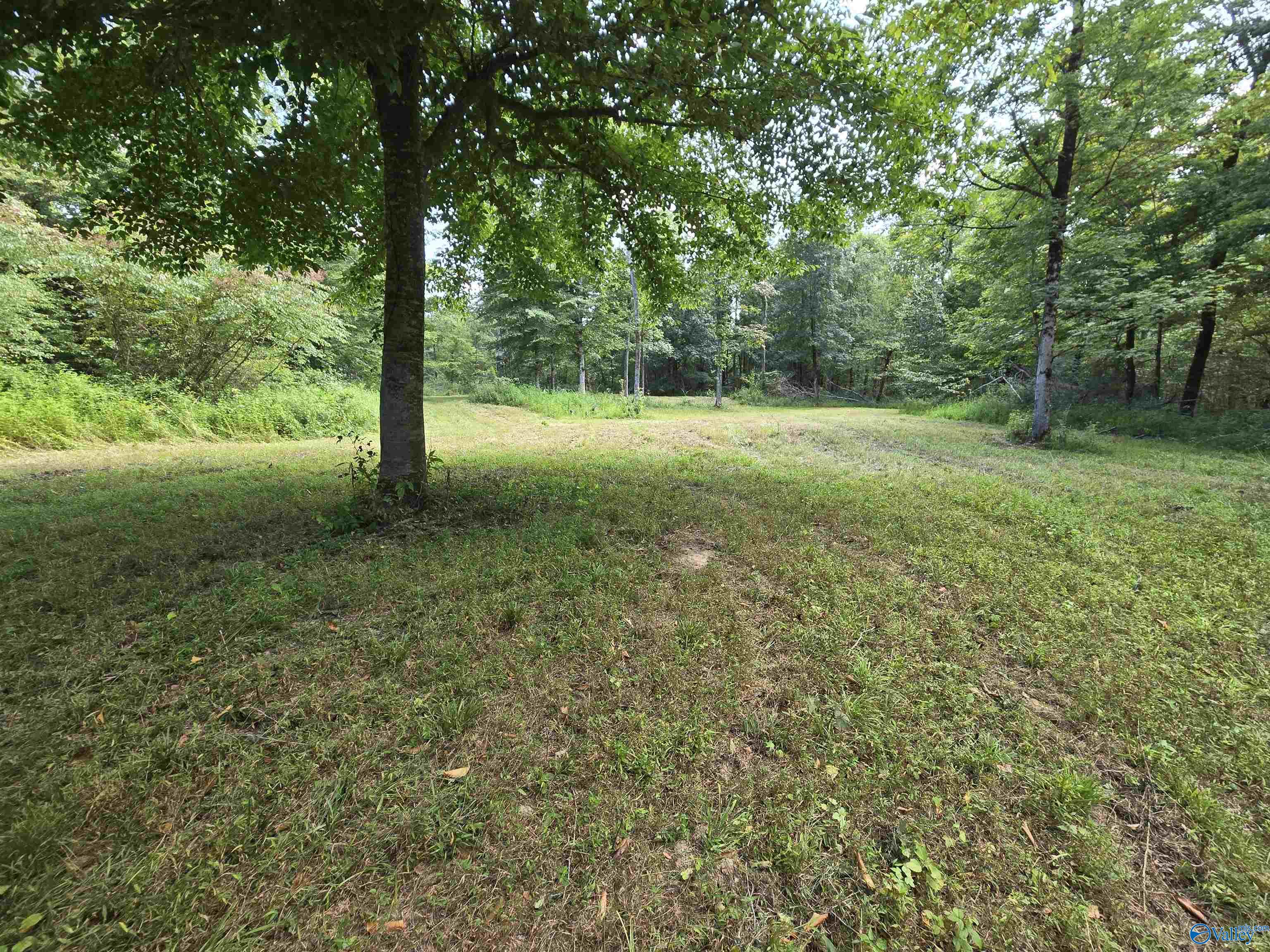 26 Acres Mulberry Road, Hazel Green, Alabama image 22