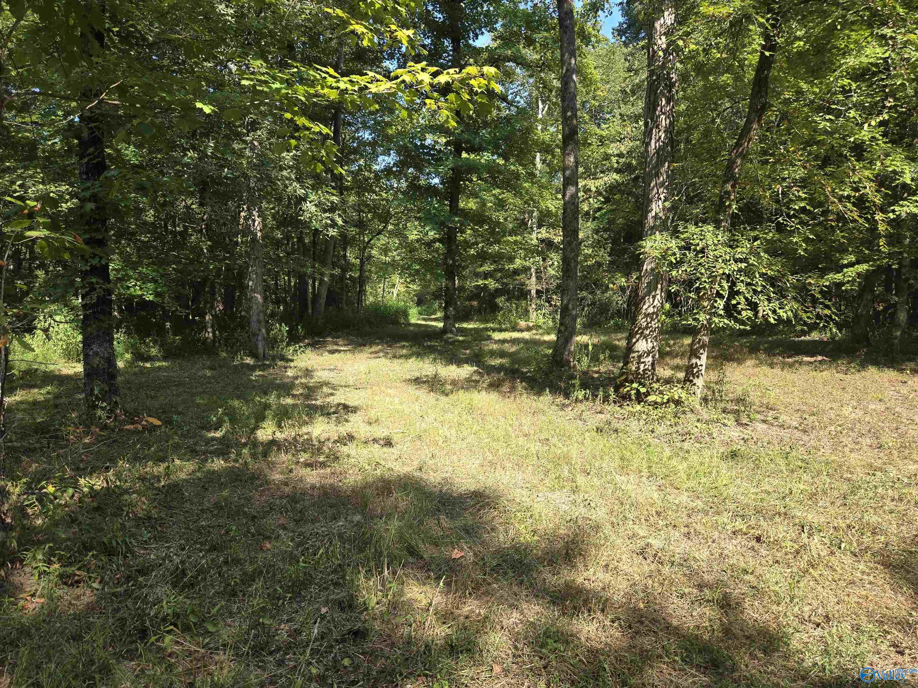 26 Acres Mulberry Road, Hazel Green, Alabama image 20