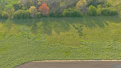 Lot 14 Garrett Street Rainsville AL 35986